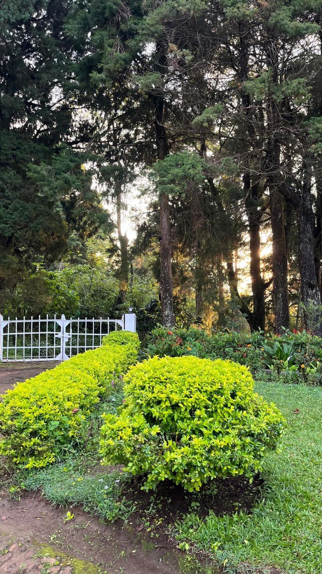 Tentgram Planters Bungalow Suryanelli Εξωτερικό φωτογραφία